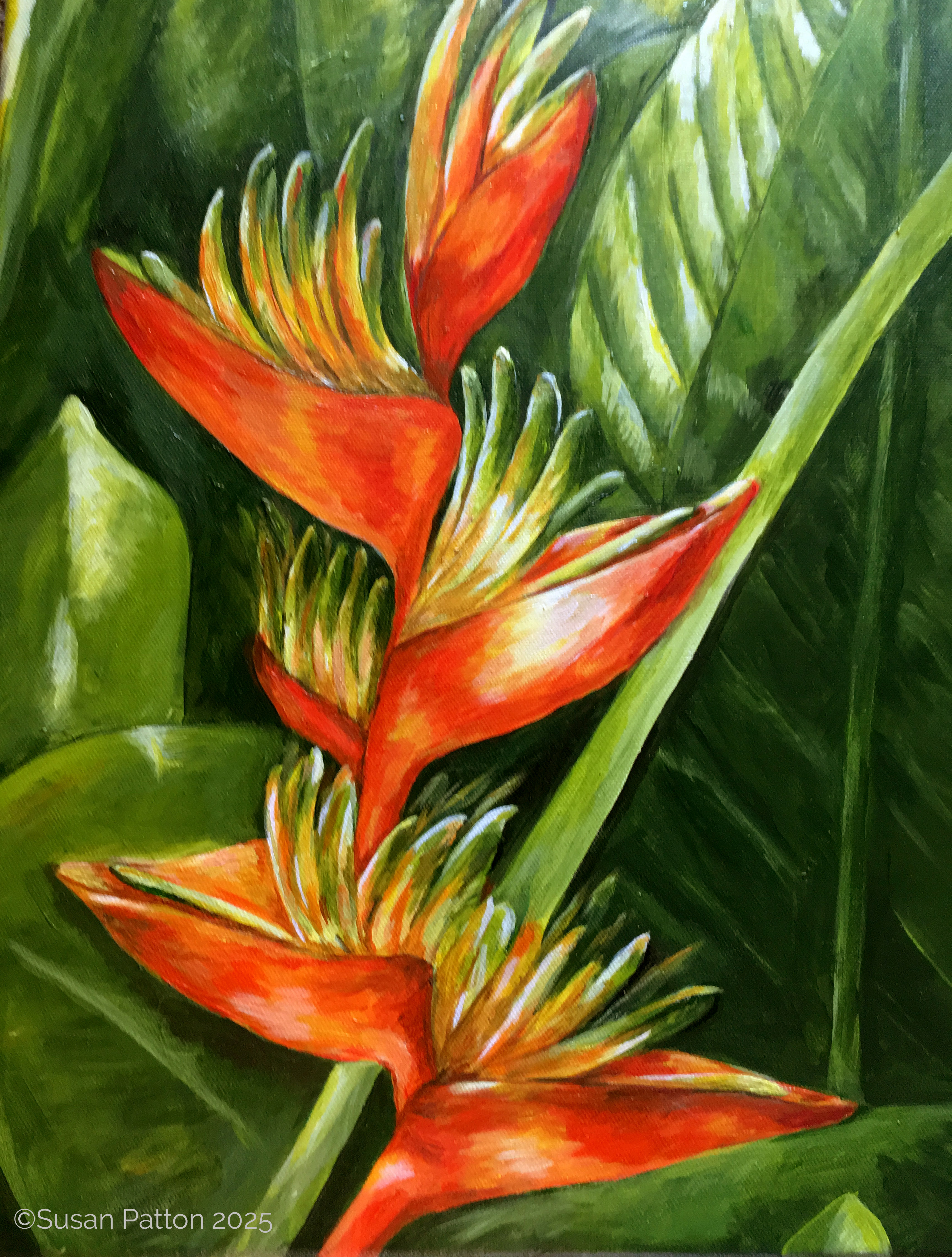 Bird of Paradise painting by Susan Patton