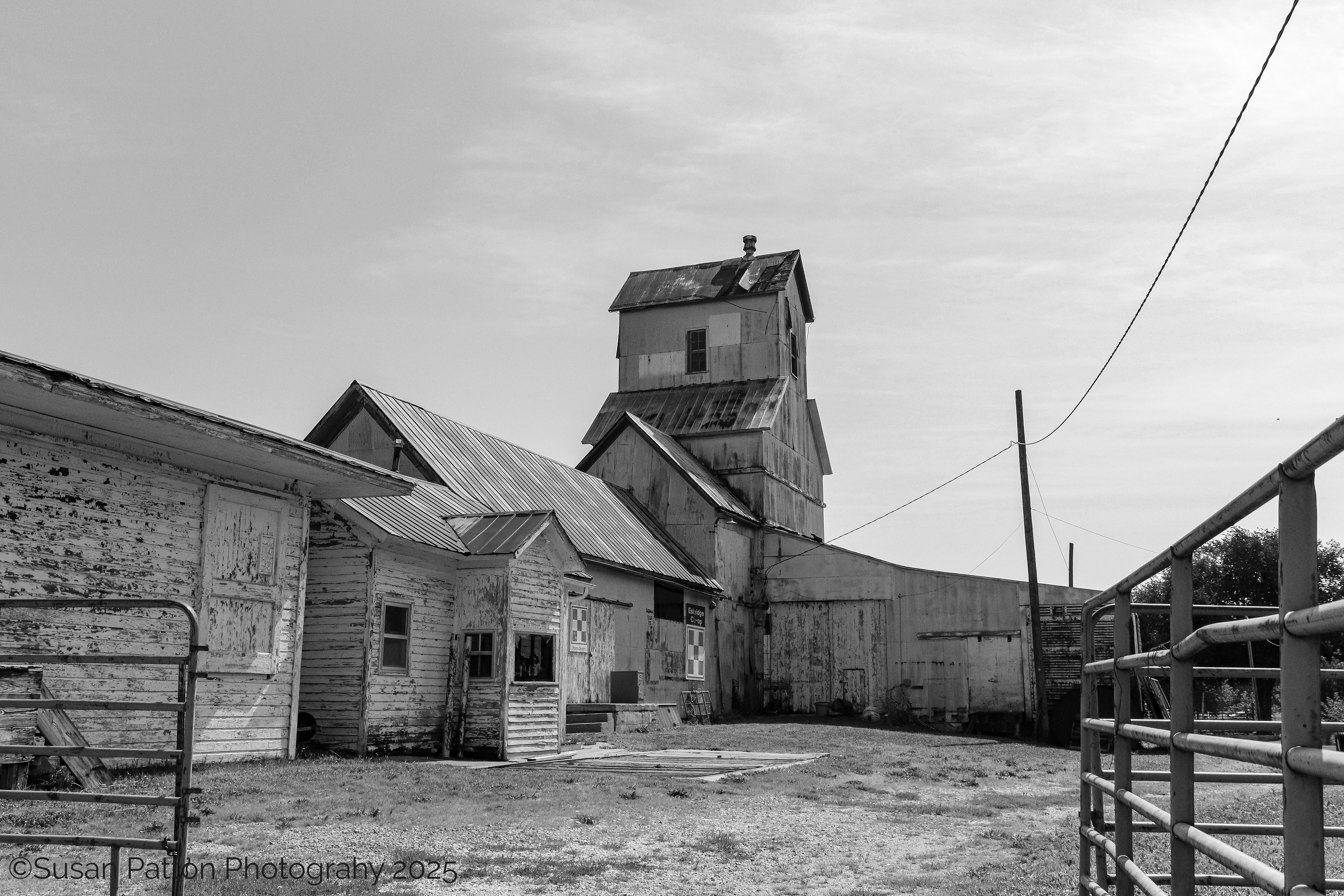 Eskridge Grain Elevator photograph taken by Susan Patton