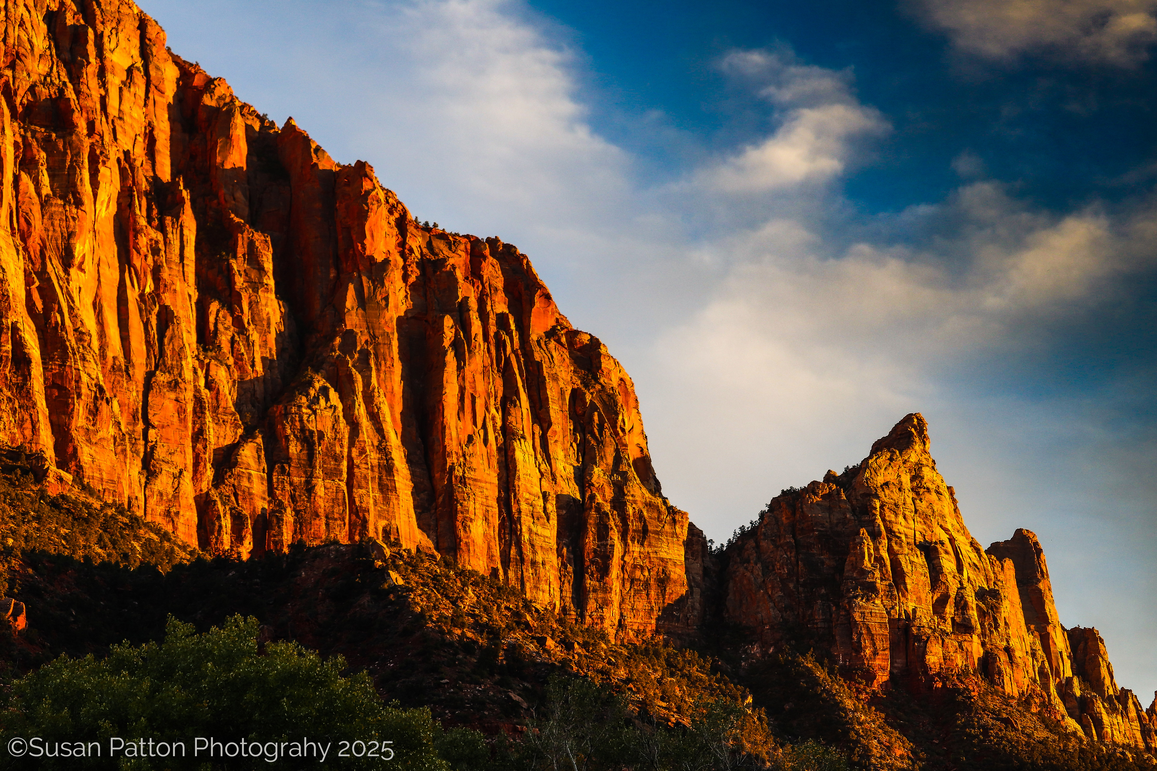 Zion National Park photograph taken by Susan Patton