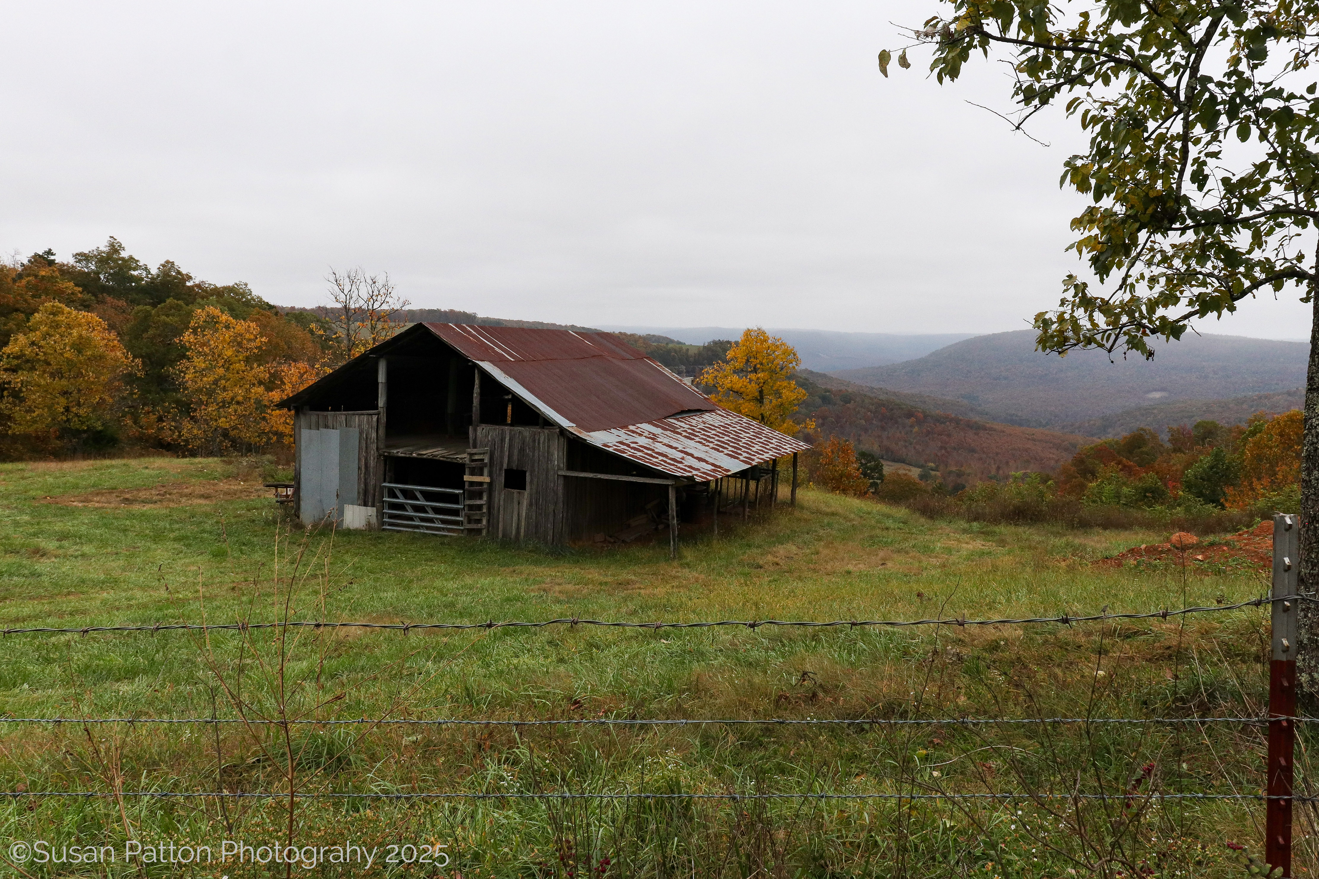 Arkansas Barn in Fall photograph taken by Susan Patton