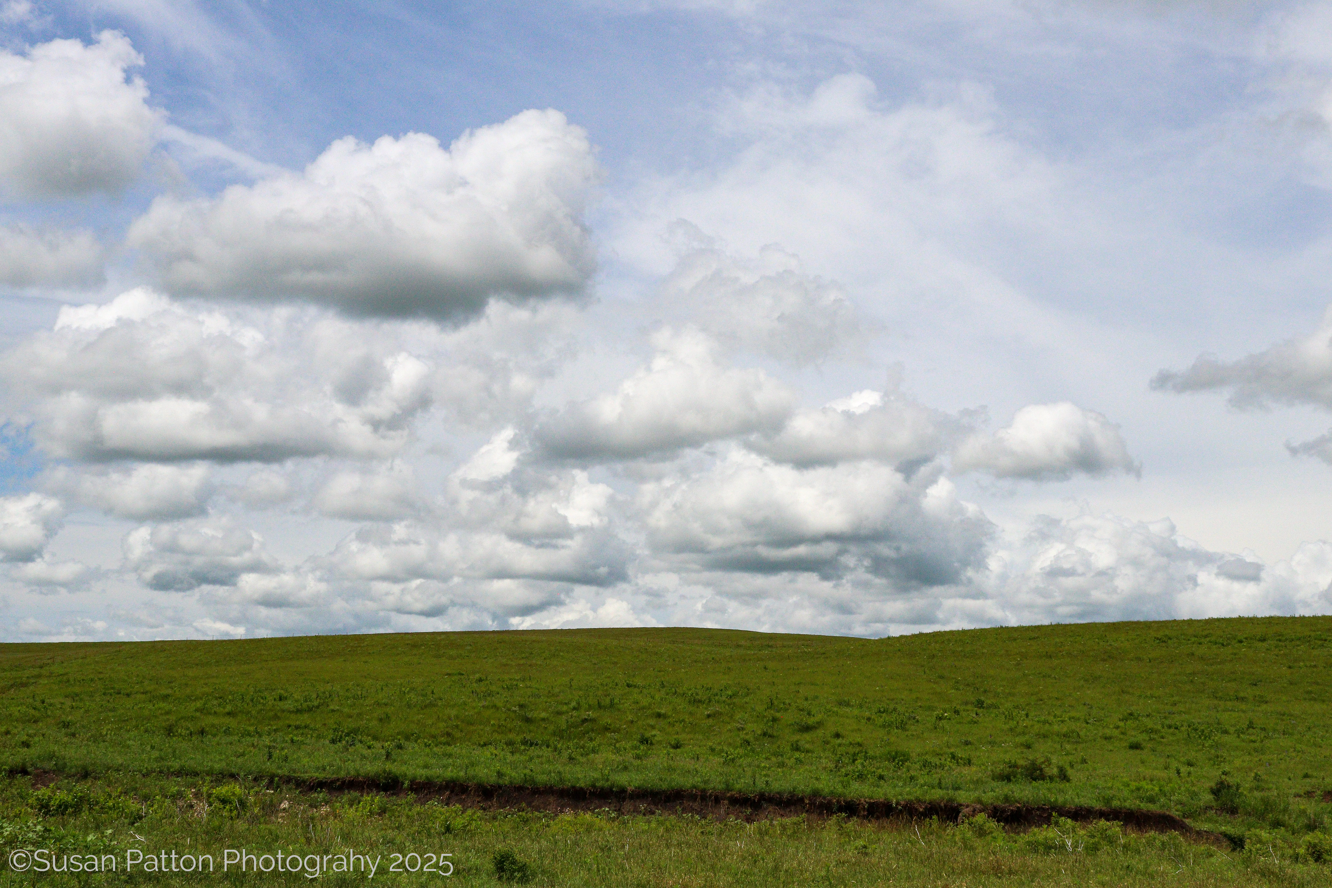 Flint Hills Landscape photograph by Susan Patton