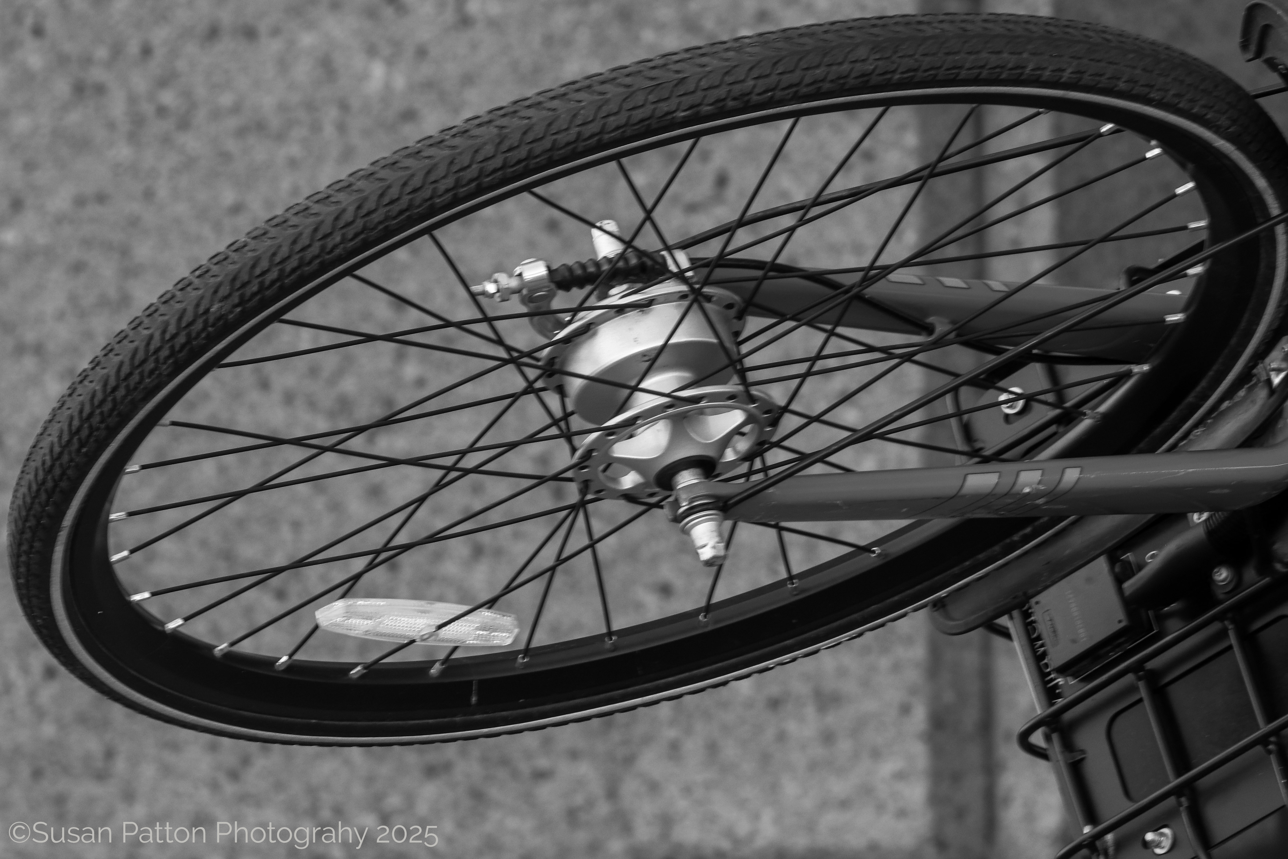 Bicycle Shadow photograph taken by Susan Patton