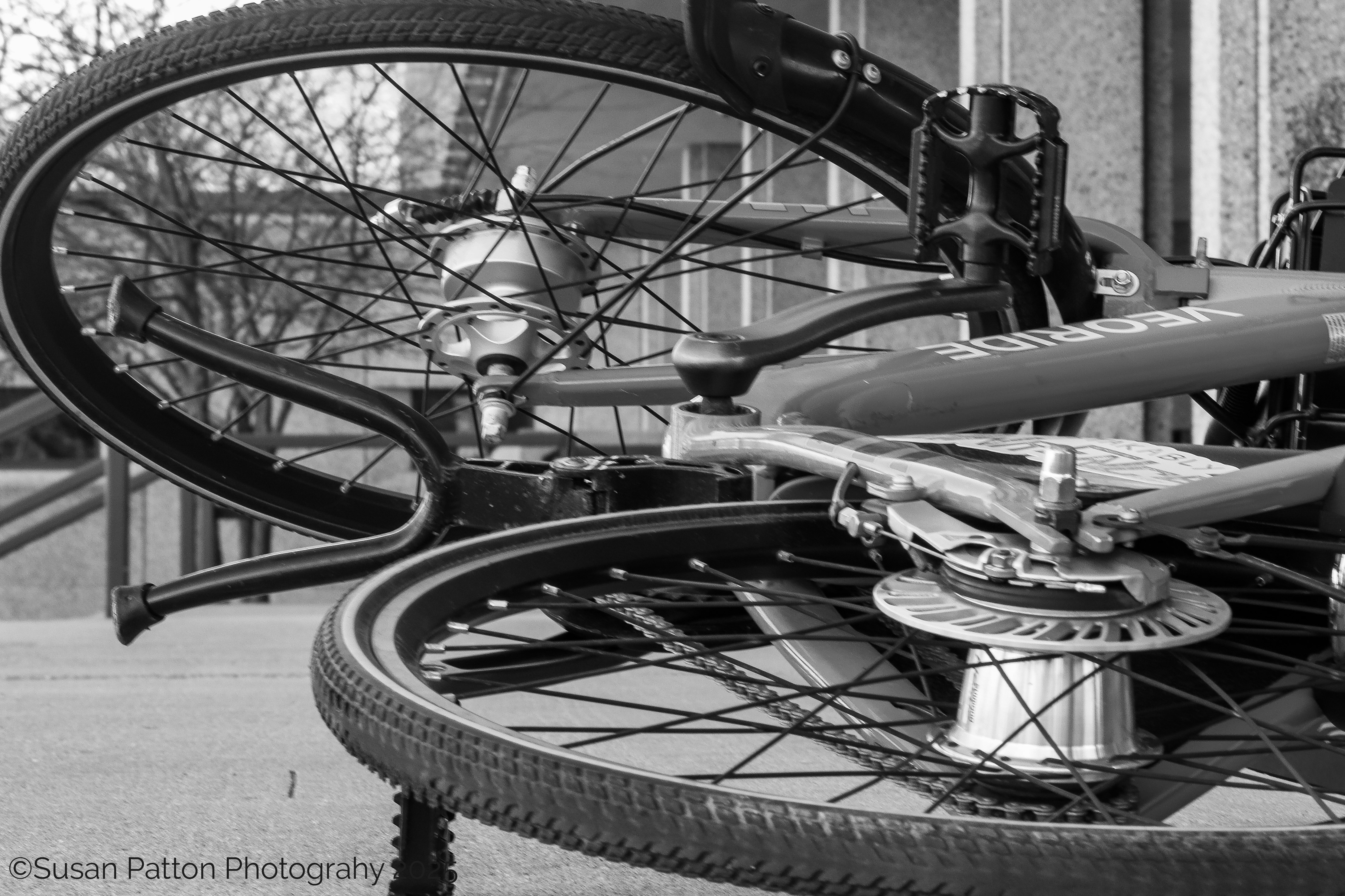 Bicycle Shadows photograph taken by Susan Patton