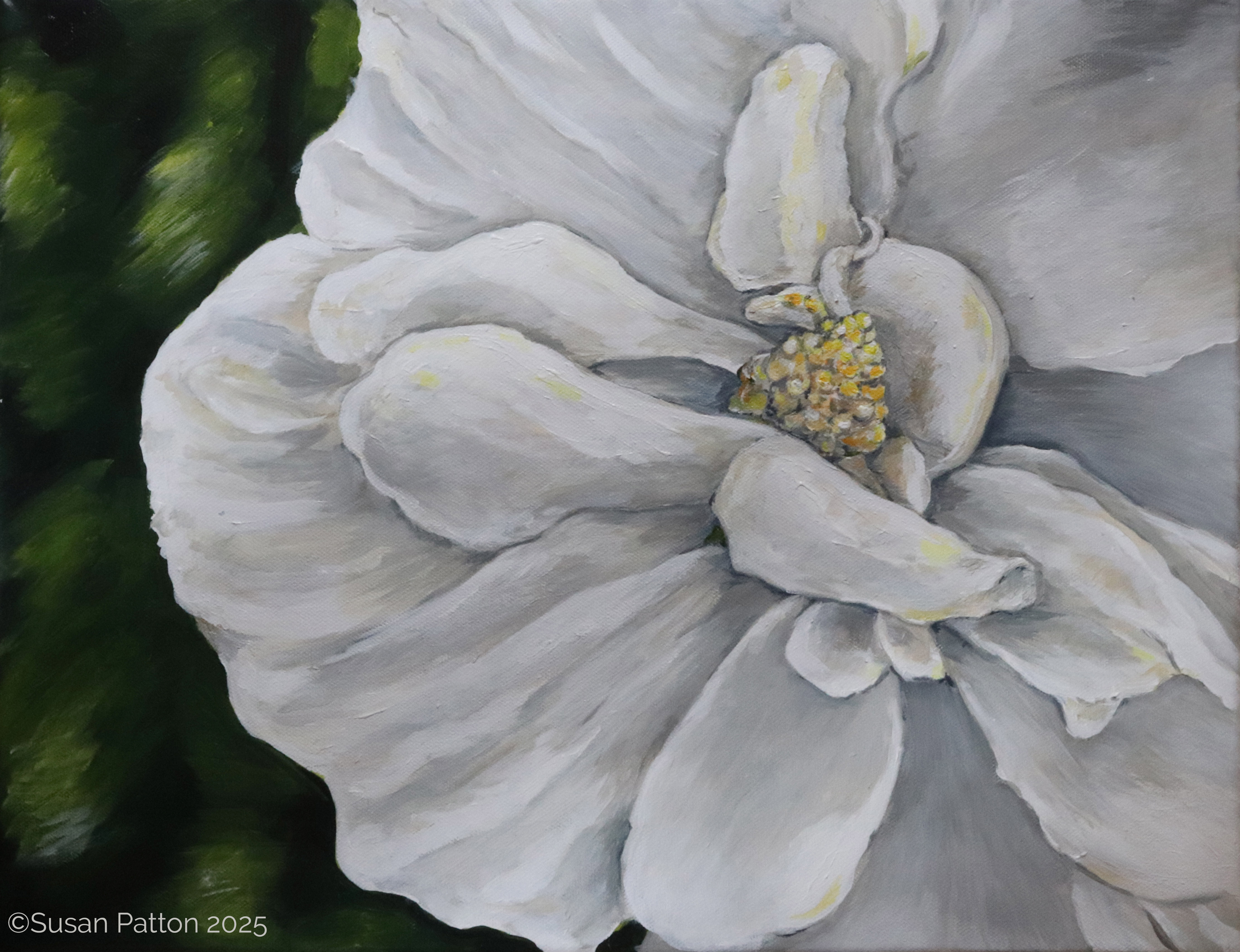Hybiscus painting by Susan Patton