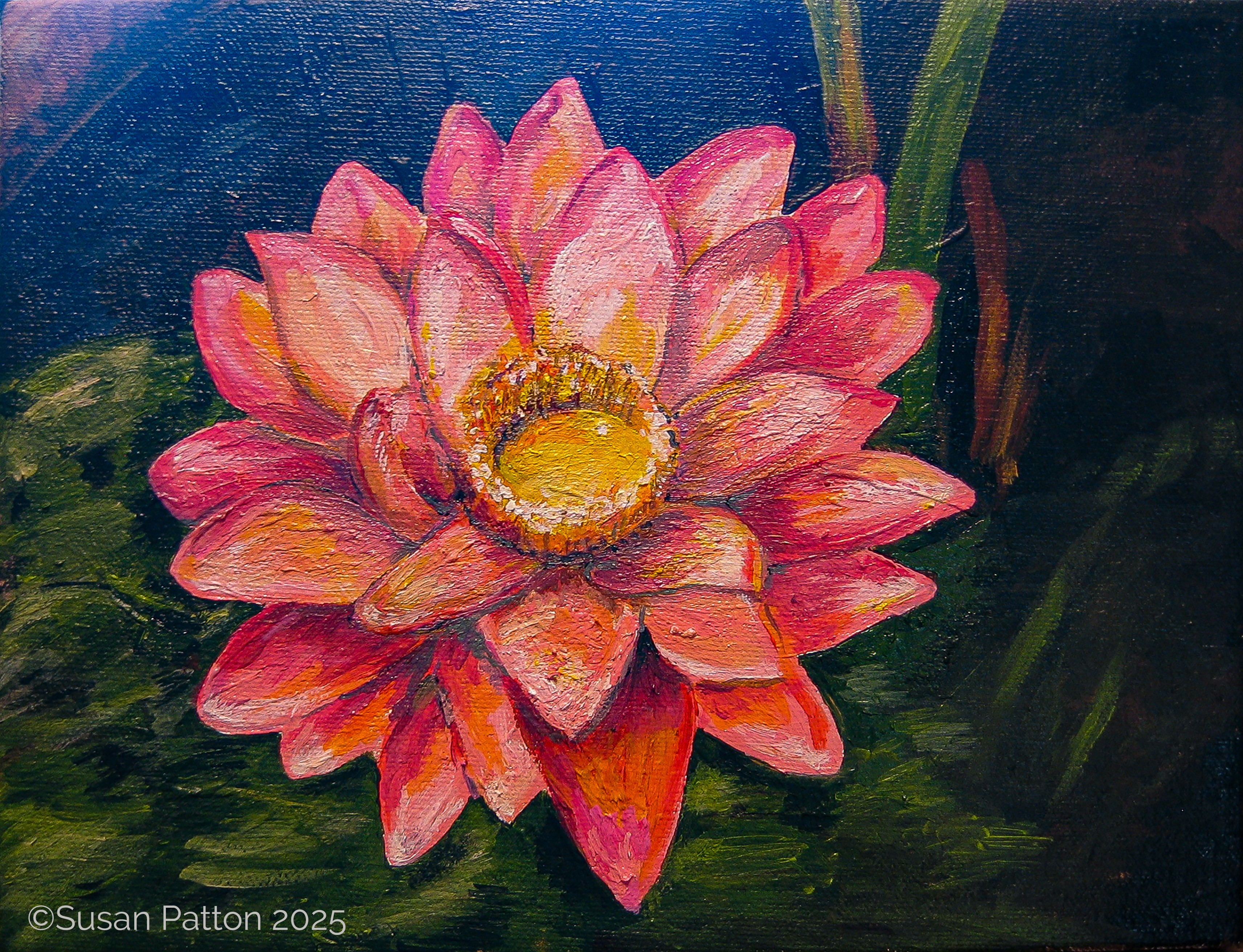 Waterlily painting by Susan Patton