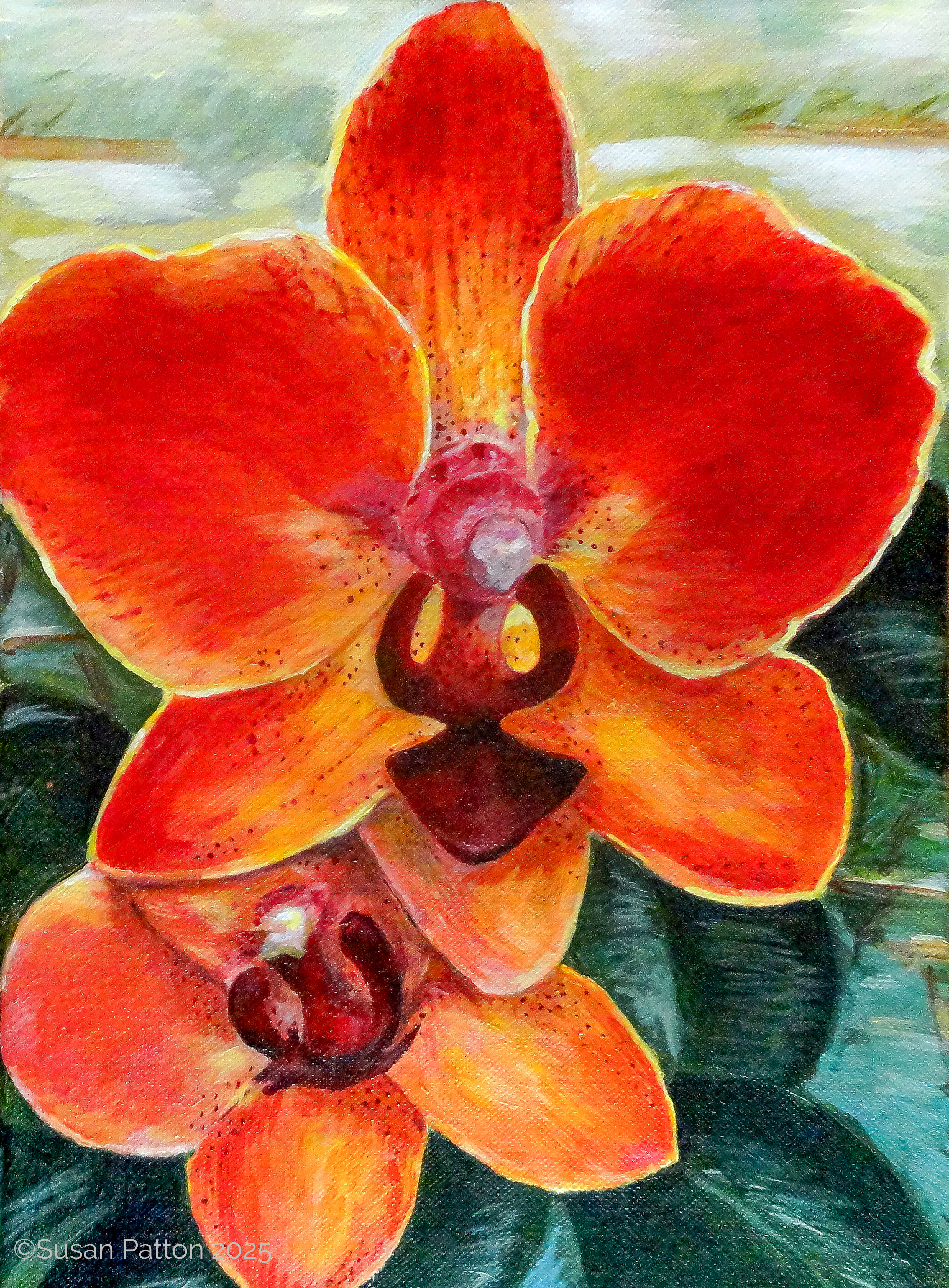 Orchid painting by Susan Patton